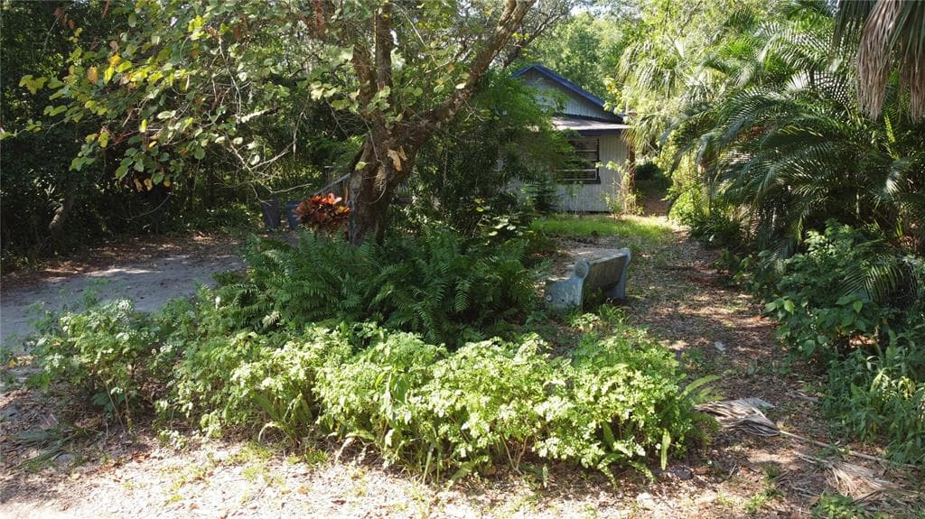 428 LEMON STREET PALM HARBOR, FL 34683