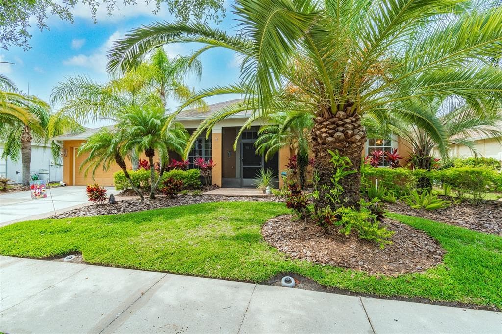 25750 RISEN STAR DRIVE WESLEY CHAPEL, FL 33544