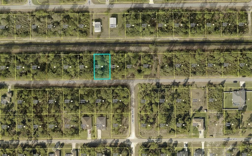 841 CLOW STREET E LEHIGH ACRES, FL 33974
