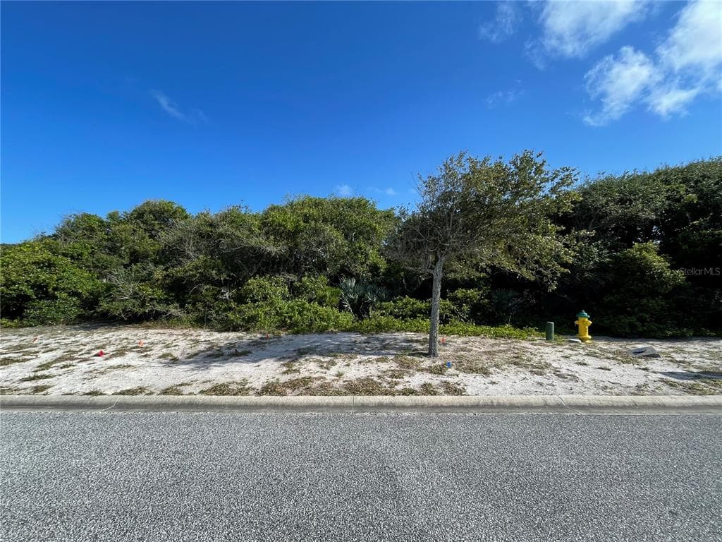 7 ARENA BLANCA PONCE INLET, FL 32127