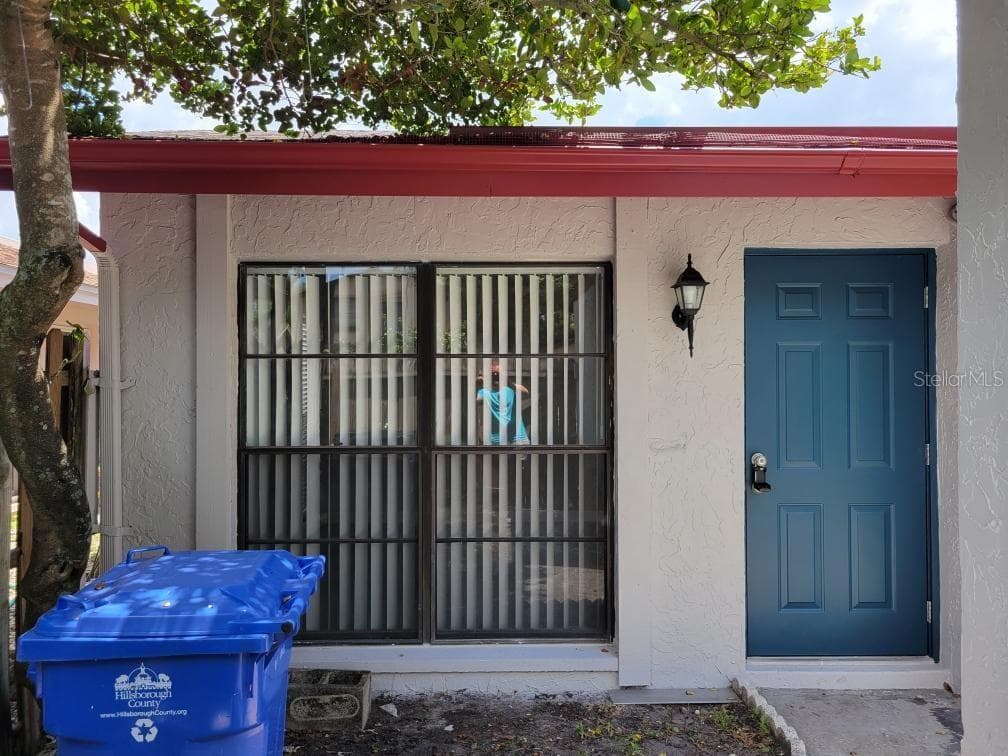 10307 ROSEMOUNT DRIVE TAMPA, FL 33624