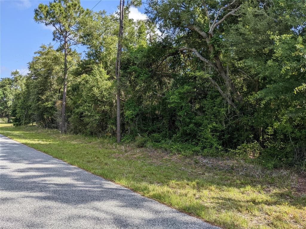 9419 N CACALIA DRIVE CRYSTAL RIVER, FL 34428