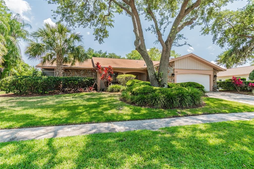 50 PINE LAKE DRIVE OLDSMAR, FL 34677