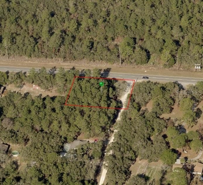 4019 S JOY TERRACE HOMOSASSA, FL 34446