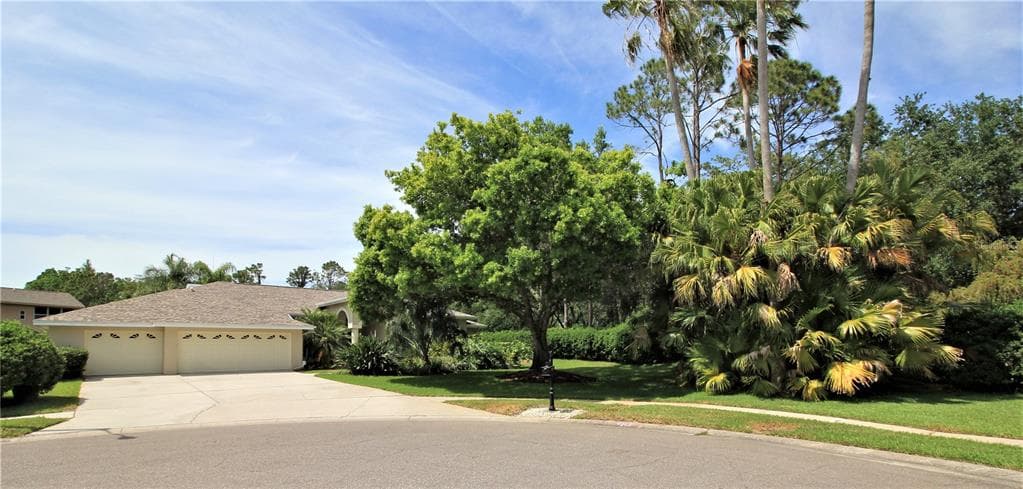 4165 ARLINGTON DRIVE PALM HARBOR, FL 34685