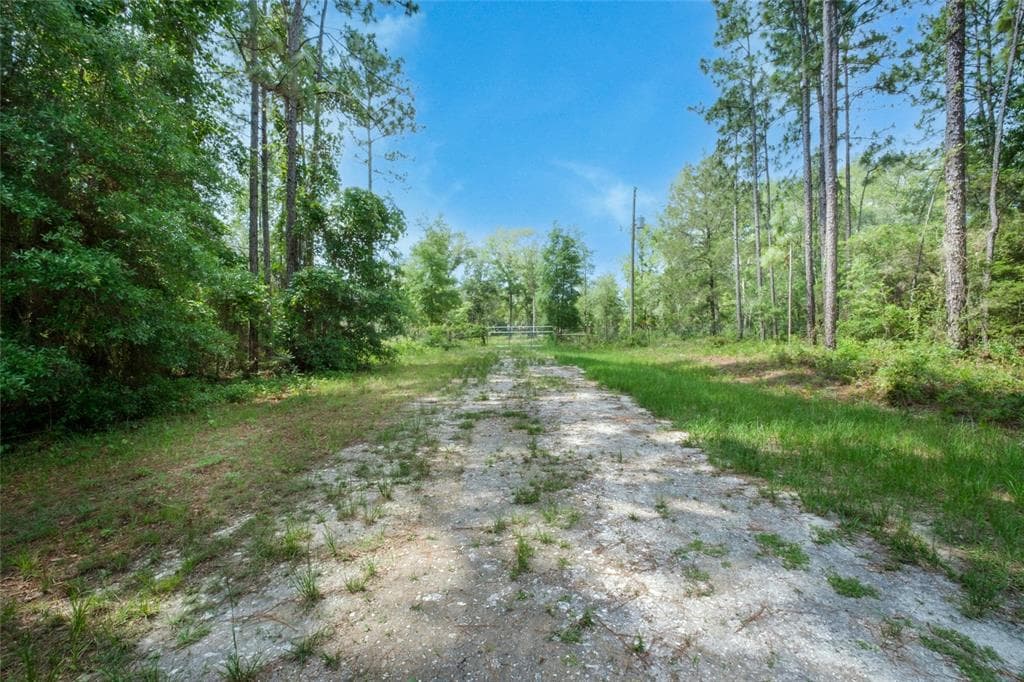 14411 CHICARIC ROAD WEEKI WACHEE, FL 34614