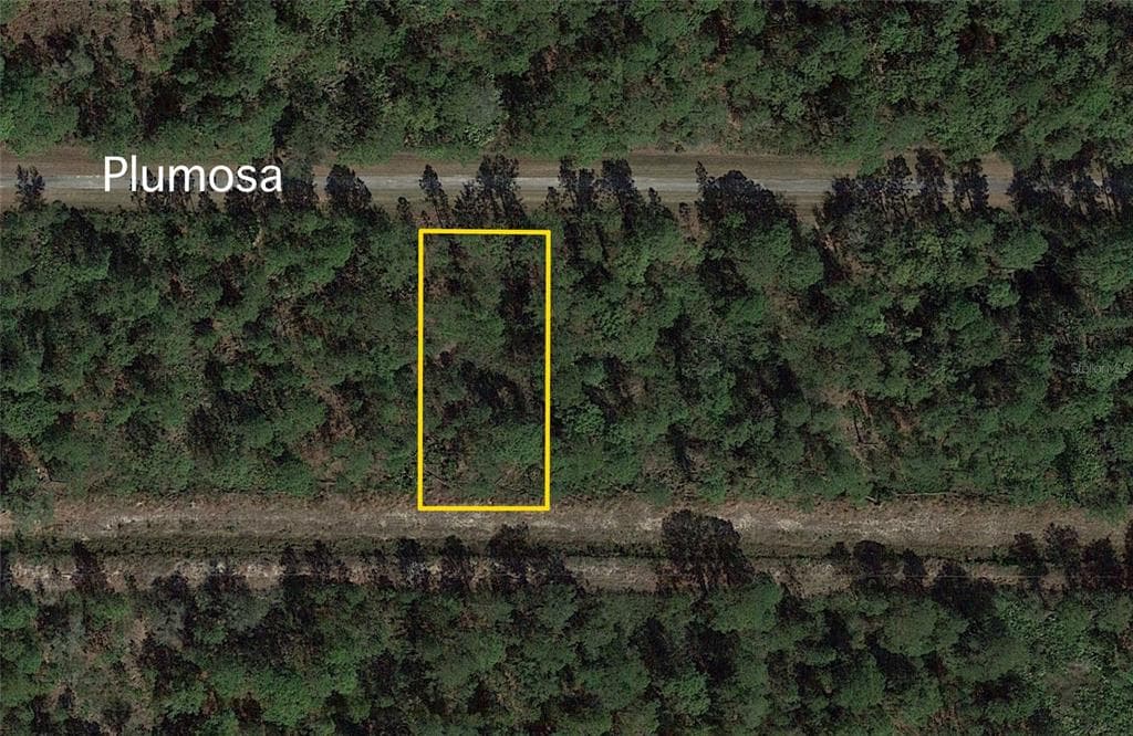 219 PLUMOSA DRIVE INDIAN LAKE ESTATES, FL 33855