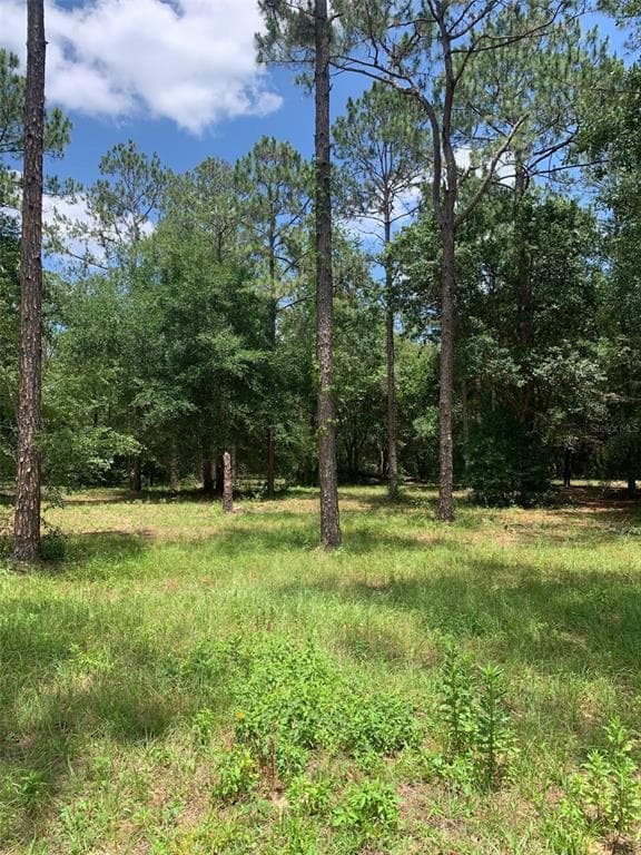35735 HIGH PINES DRIVE EUSTIS, FL 32736