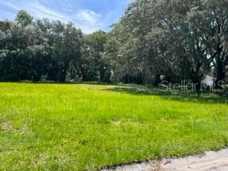 2816 MYSTIC OAKS DRIVE PLANT CITY, FL 33563