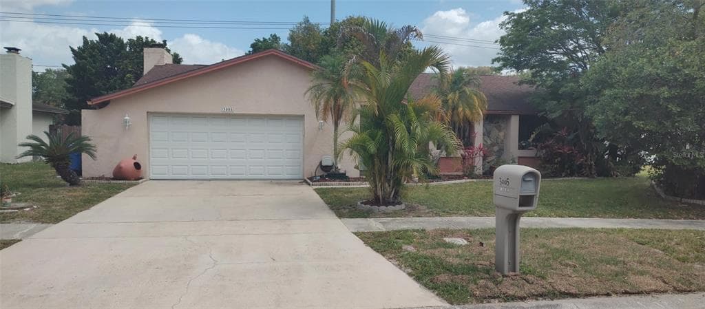 3005 PALMERAS COURT TAMPA, FL 33614