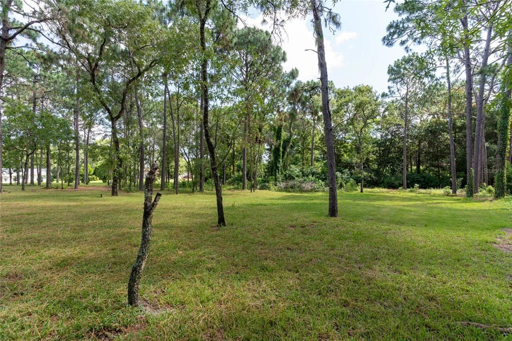 13110 FEATHER STREET SPRING HILL, FL 34609