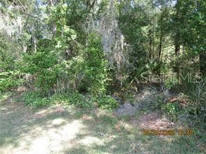 2507 W RUTLAND DRIVE CITRUS SPRINGS, FL 34434