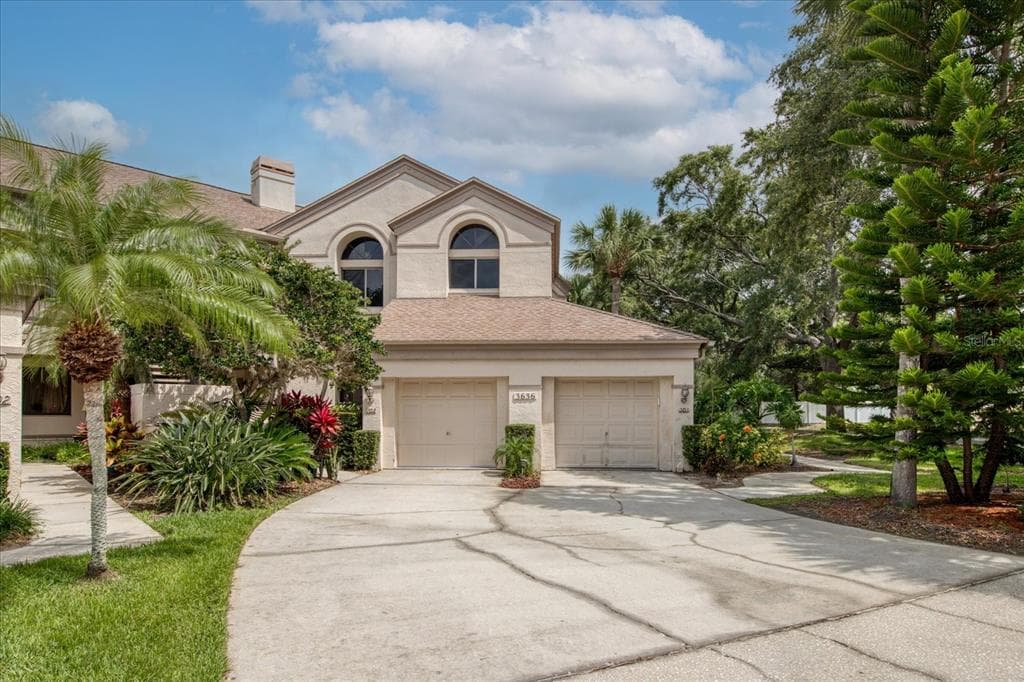 3636 OAK HAVEN DRIVE UNIT 203 PALM HARBOR, FL 34684