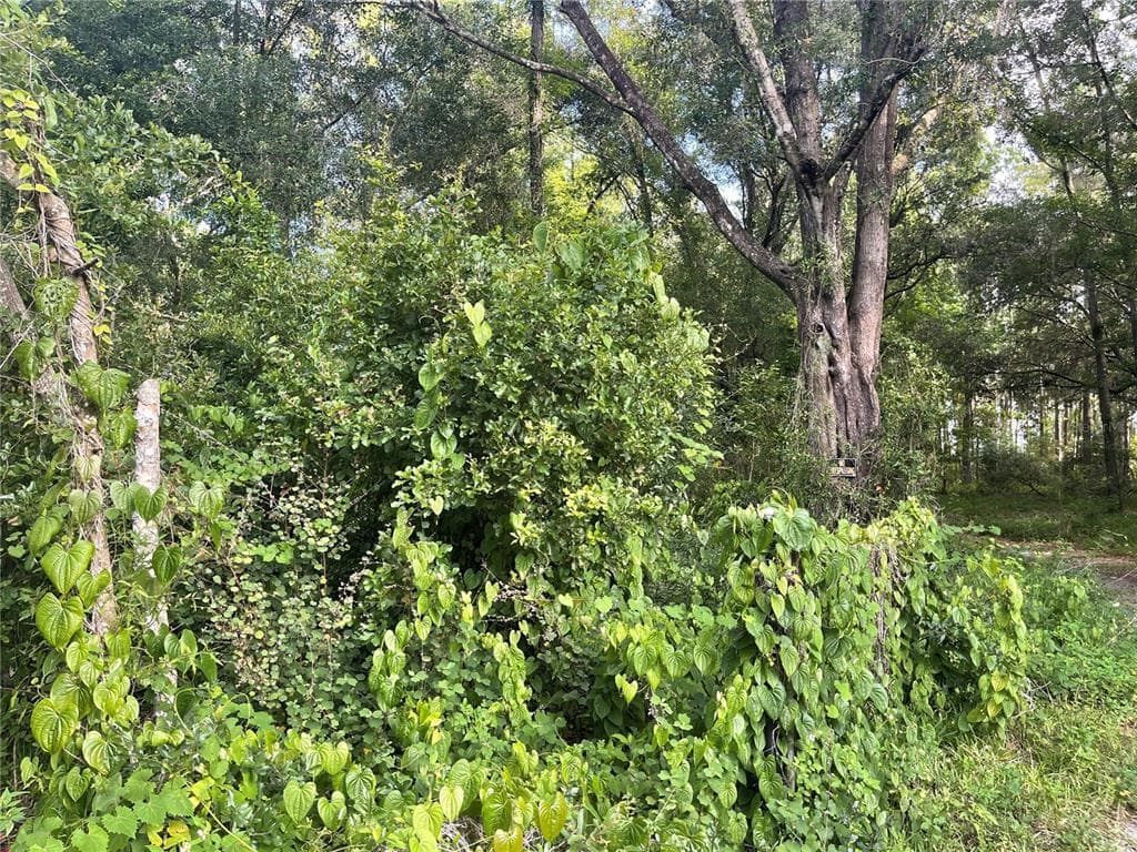 BETTS WESLEY CHAPEL, FL 33543