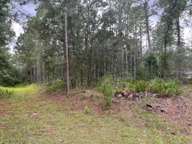 11056 FLATWOOD AVENUE WEEKI WACHEE, FL 34613