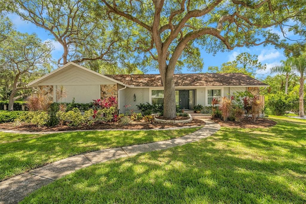 12 HAMMOCK PLACE SAFETY HARBOR, FL 34695
