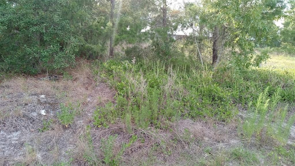 ABAIR STREET HUDSON, FL 34667