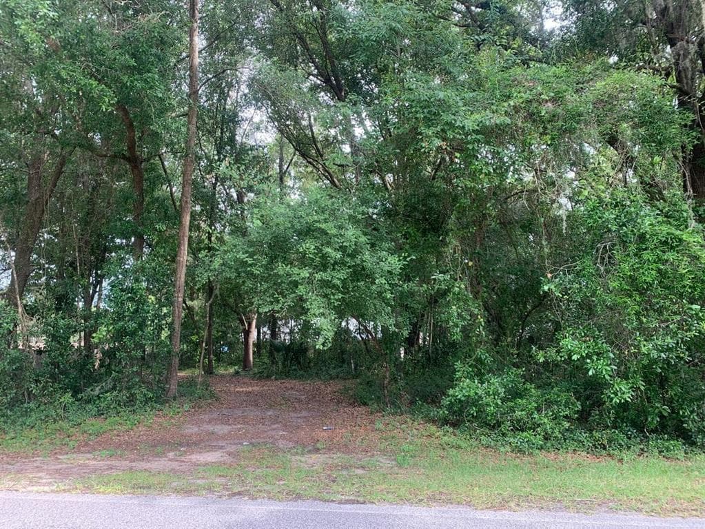 8706 SE 157TH PLACE SUMMERFIELD, FL 34491