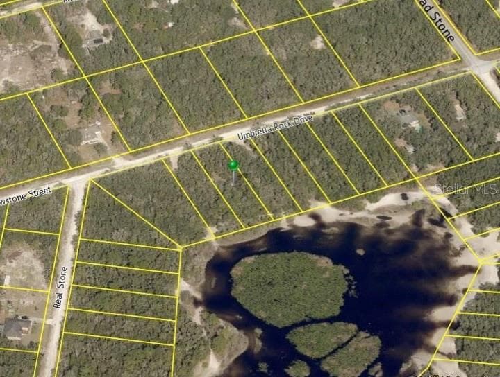 34042 UMBRELLA ROCK DRIVE WEBSTER, FL 33597