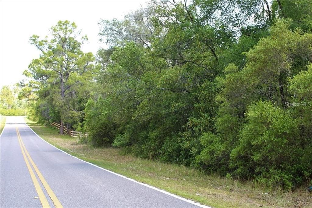 MADONNA DRIVE