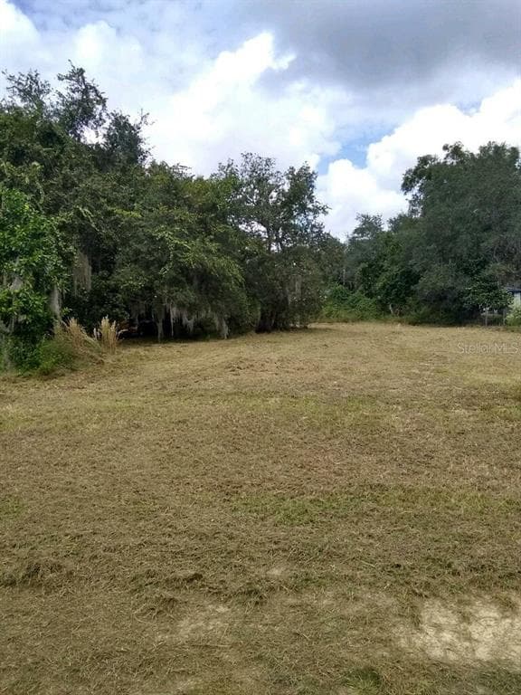 24881 NE 134TH PLACE FORT MC COY, FL 32134