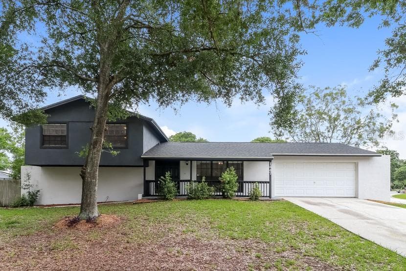 1447 FOGGY RIDGE PARKWAY LUTZ, FL 33559