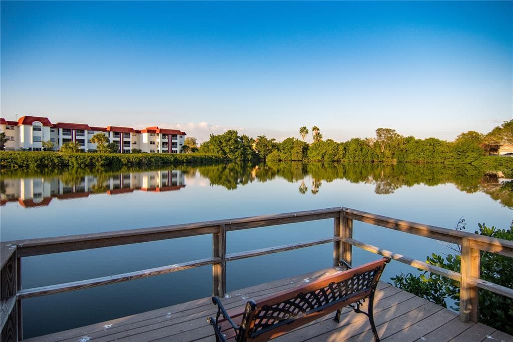 4550 OVERLOOK DRIVE NE UNIT 260 ST PETERSBURG, FL 33703