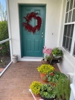 1927 SASSAFRAS DRIVE WESLEY CHAPEL, FL 33543