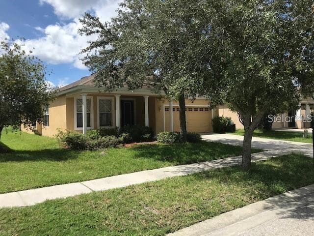 1134 NAPOLEON WAY WESLEY CHAPEL, FL 33543