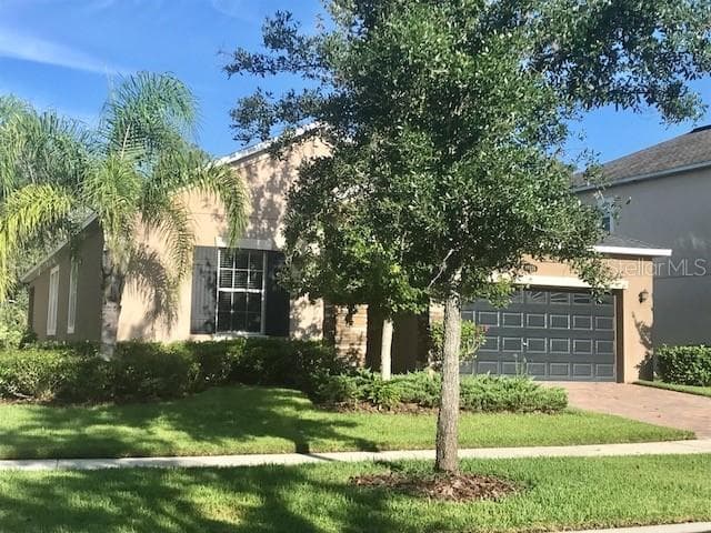 19338 PADDOCK VIEW DRIVE TAMPA, FL 33647