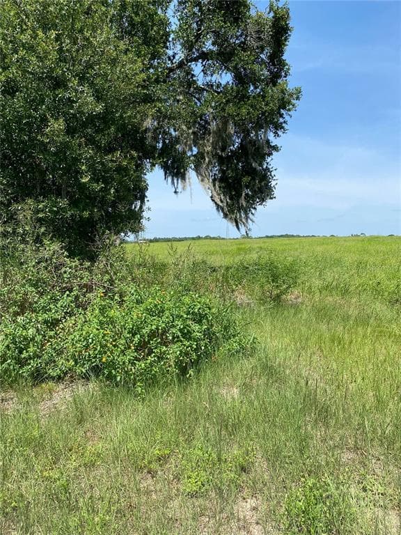 TRIANGLE LANE BROOKSVILLE, FL 34602