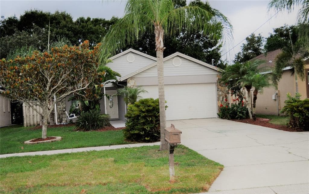 206 BEDFORD STREET OLDSMAR, FL 34677