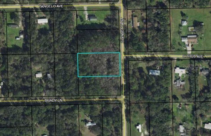 1380 POINSETTA STREET BUNNELL, FL 32110