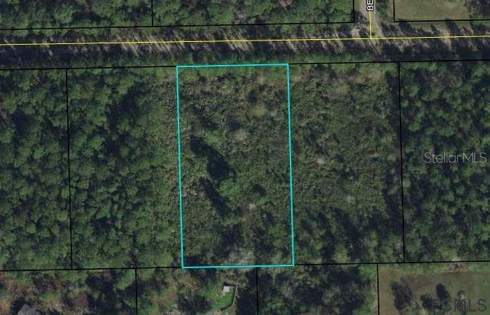 4375 EVERGREEN AVENUE BUNNELL, FL 32110