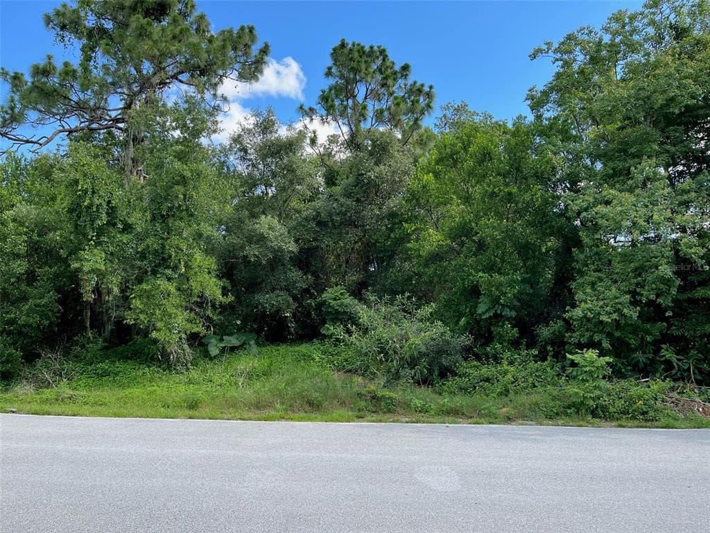 COFIELD LANE SPRING HILL, FL 34608