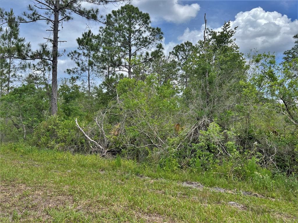 0 EL DORADO DRIVE INDIAN LAKE ESTATES, FL 33855