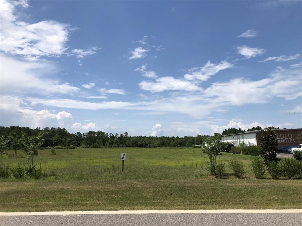 0 COBB DRIVE EUSTIS, FL 32736