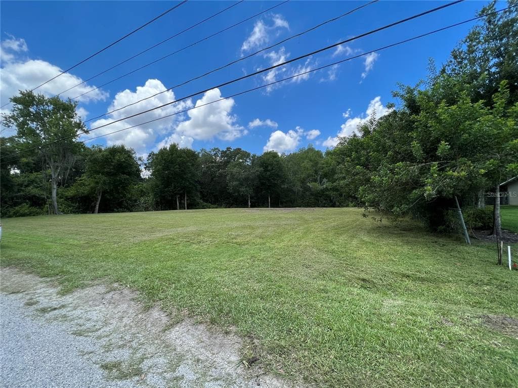 16702 TOBACCO RD. LUTZ, FL 33558