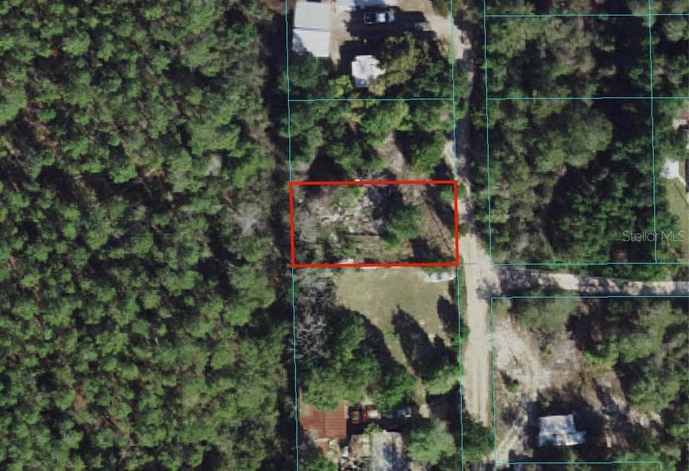 7974 NE 305TH COURT FORT MC COY, FL 32134