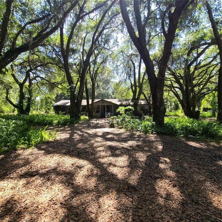 4313 PLATT ROAD PLANT CITY, FL 33565