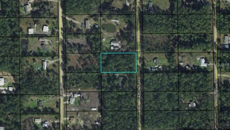 2154 HAZELNUT STREET BUNNELL, FL 32110