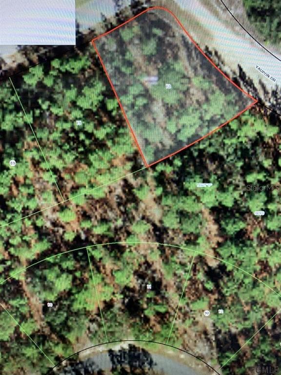 1 YAUPON DRIVE HOMOSASSA, FL 34446