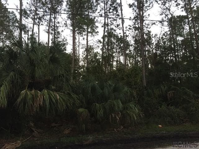 25 POTTERVILLE LANE PALM COAST, FL 32164