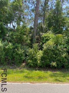 40 RADCLIFFE DRIVE PALM COAST, FL 32164