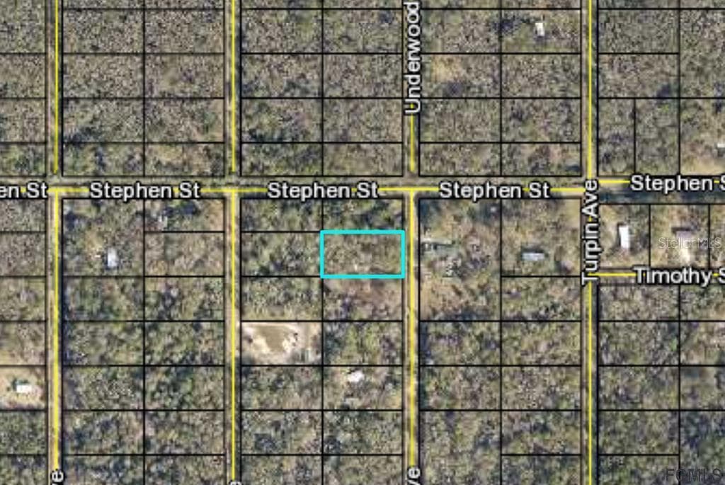 10215 UNDERWOOD AVENUE HASTINGS, FL 32145