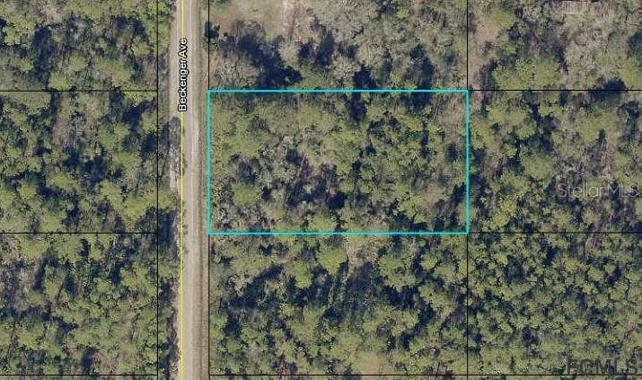 10420 BECKENGER AVENUE HASTINGS, FL 32145