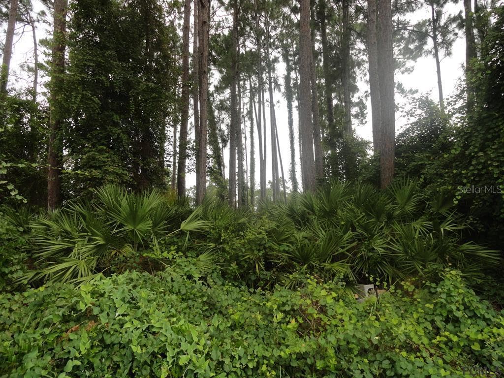 55 BURNING BUSH DRIVE PALM COAST, FL 32137