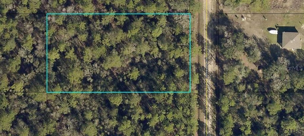 10065 HENNESSEY AVENUE HASTINGS, FL 32145