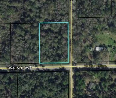 6464 WALNUT AVENUE BUNNELL, FL 32110