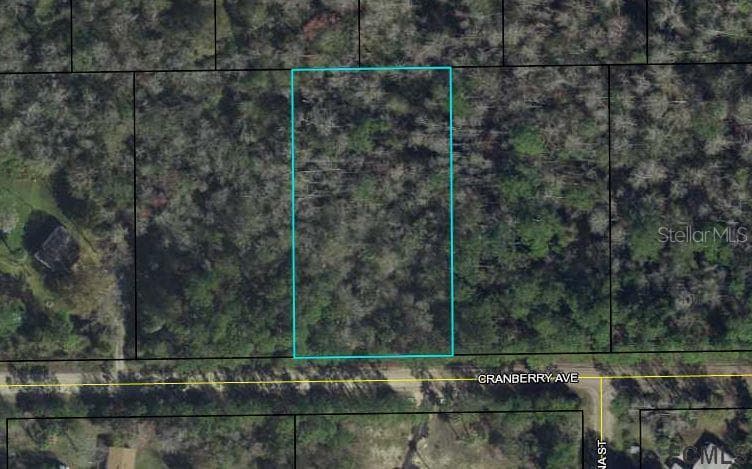 3754 CRANBERRY AVENUE BUNNELL, FL 32110